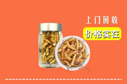 盘龙区回收散虫草
