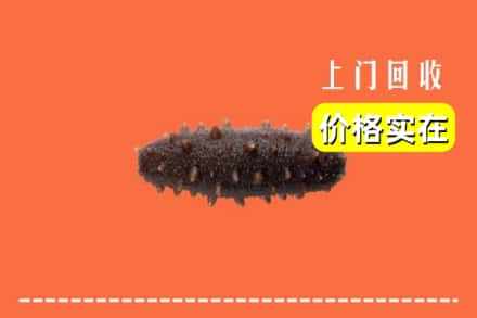盘龙区回收海参