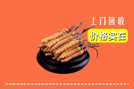 盘龙区回收冬虫夏草