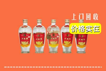 盘龙区回收老五粮液